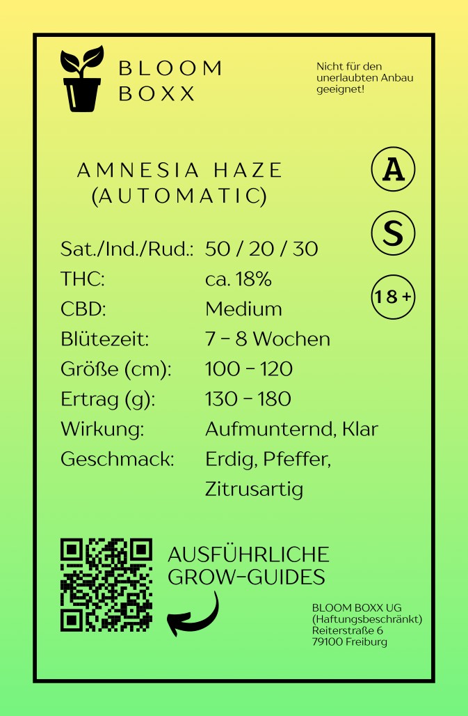 Bloom Boxx - Amnesia Haze (Automatic)