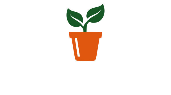 Bloom Boxx